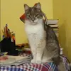 Отзыв от Ангелина Павлова